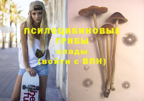ешки Абинск