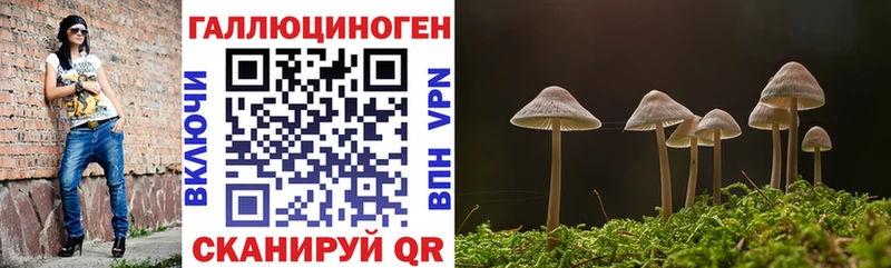 Псилоцибиновые грибы MAGIC MUSHROOMS  Подпорожье 